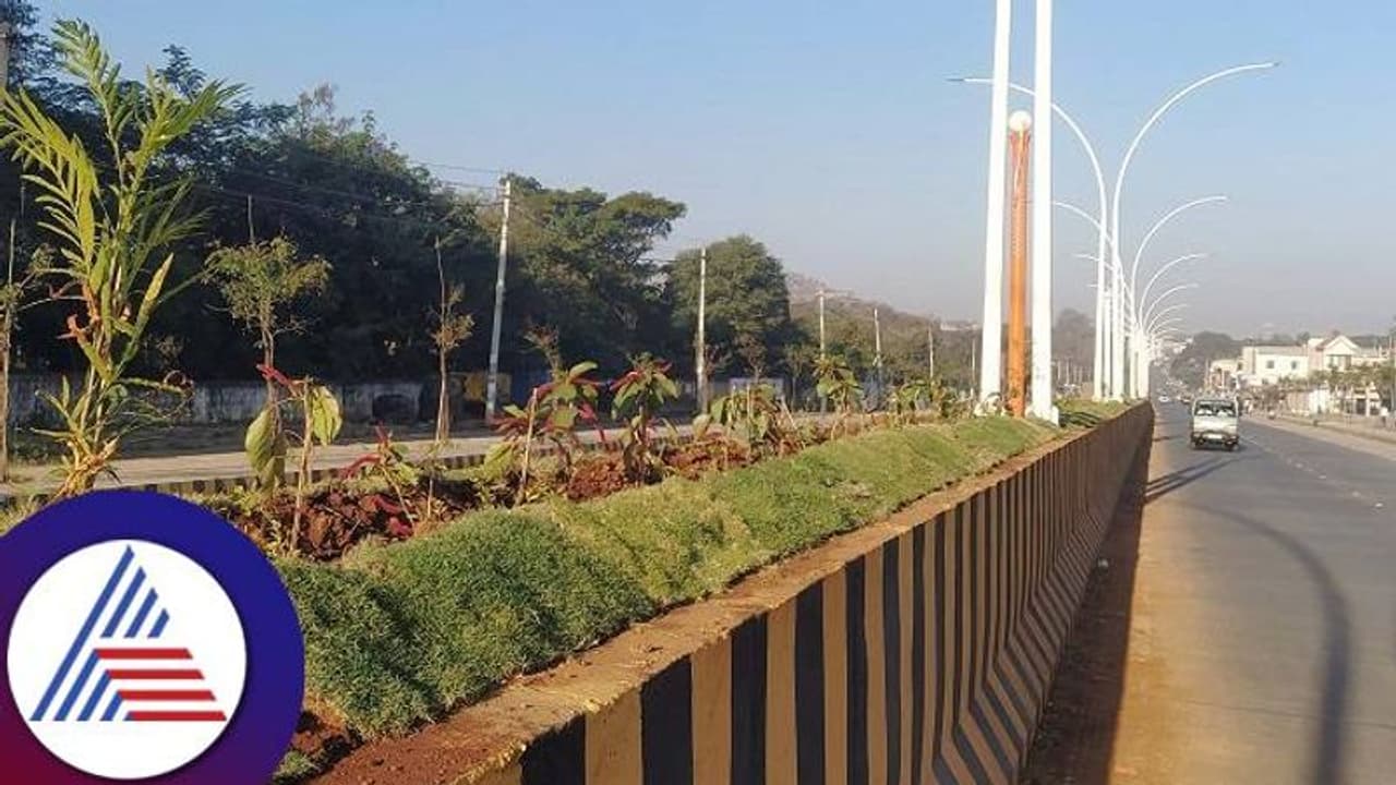 ಅಬ್ಬಬ್ಬಾ! ಡಿವೈಡರ್ ಮೇಲೆ ಗಿಡ ನೆಟ್ಟು ಸಾಕೋಕೆ 1.80 ಕೋಟಿ ರು..! ಅಬ್ಬಬ್ಬಾ! ಡಿವೈಡರ್ ಮೇಲೆ ಗಿಡ ನೆಟ್ಟು ಸಾಕೋಕೆ 1.80 ಕೋಟಿ ರು..!