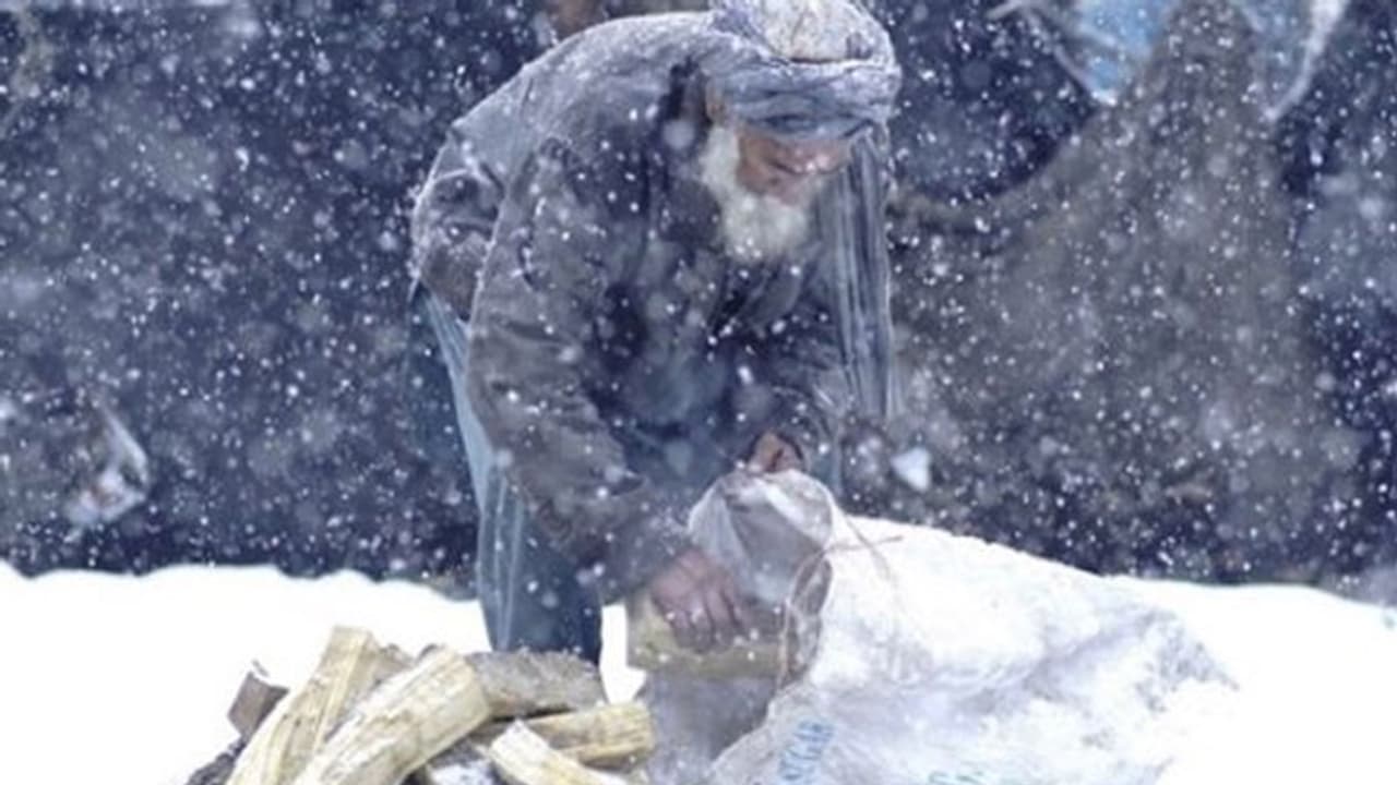 ఆఫ్ఘనిస్తాన్లో ఘోరమైన చలి.. 150 మంది మృతి, 70 వేల పశువుల మృత్యువాత ఆఫ్ఘనిస్తాన్లో ఘోరమైన చలి.. 150 మంది మృతి, 70 వేల పశువుల మృత్యువాత