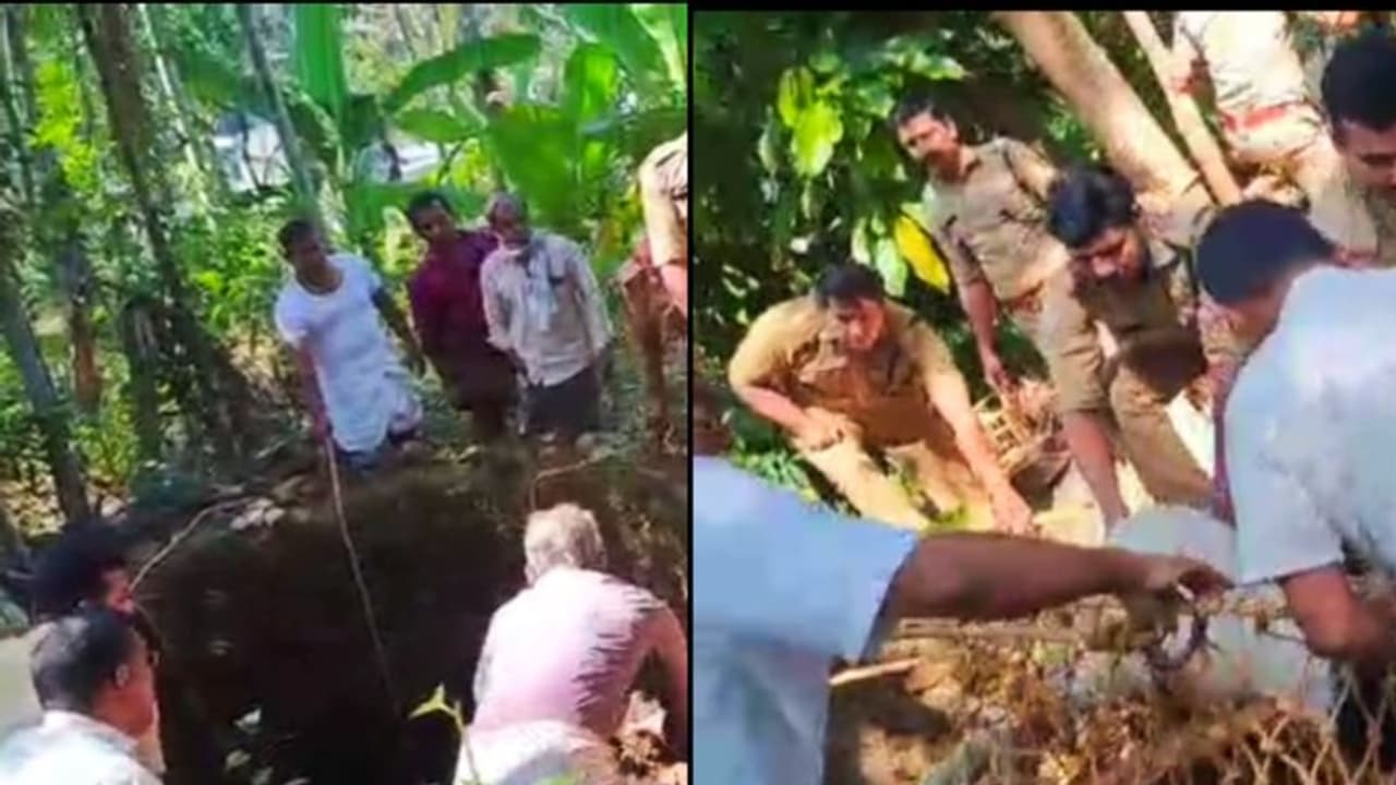 എട്ട് മീറ്റർ താഴ്ചയുള്ള വെള്ളമില്ലാത്ത കിണറ്റിൽ നിന്ന് കരച്ചിൽ, നാട്ടുകാർ ഫയർഫോഴ്സിനെ വിളിച്ചു, ആടിന് പുതുജീവൻ