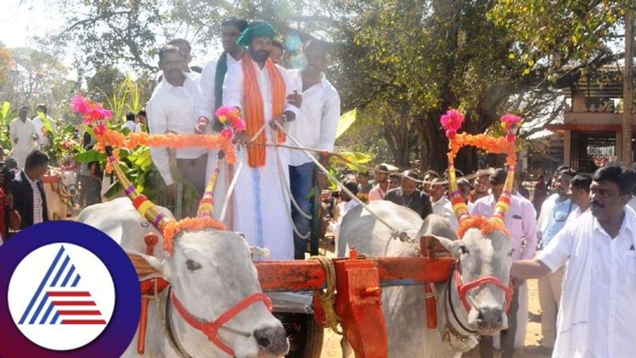 Chikkamagaluru Utsav: ಎತ್ತಿನಗಾಡಿ ಮೆರವಣಿಗೆಯಲ್ಲಿ ತಮಿಳುನಾಡು ಬಿಜೆಪಿ ರಾಜ್ಯಾಧ್ಯಕ್ಷ ಅಣ್ಣಾಮಲೈ ಭಾಗಿ