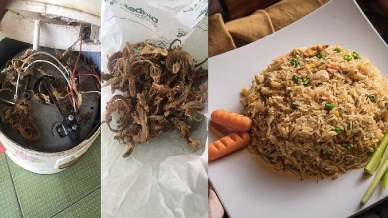 'വേവിച്ച ചോറിൽ എപ്പോഴും രുചി വ്യത്യാസം'; ഒടുവിൽ 'കാരണം' കണ്ടെത്തിയപ്പോൾ...