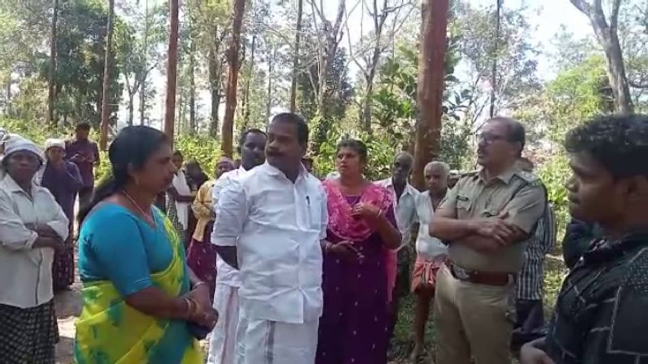 വയനാട്ടില്‍ യുവാവിന് നേരെ കടുവ പാഞ്ഞടുത്തു; ഓട്ടത്തിനിടയില്‍ കിങ്ങില്‍ വീണു, രക്ഷപ്പെട്ടത് തലനാരിഴക്ക്