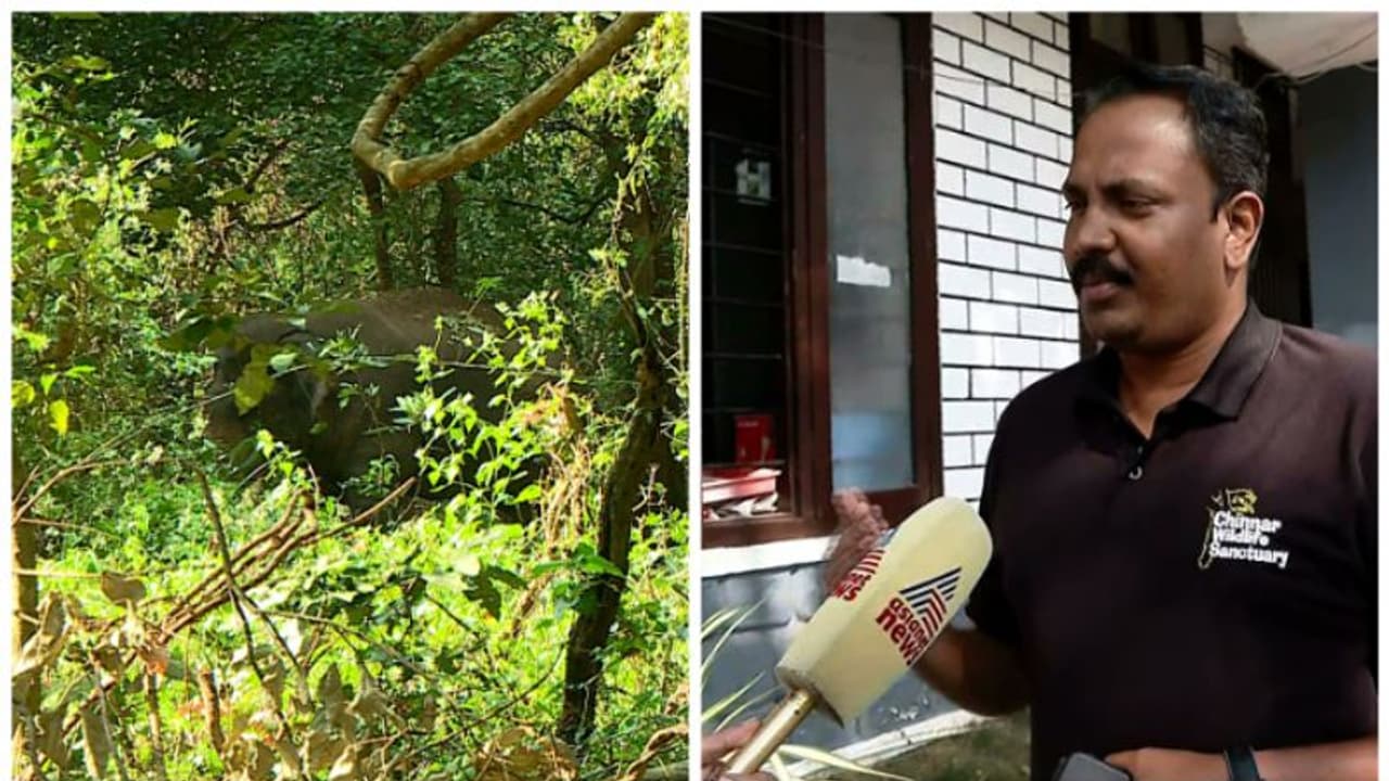 പി ടി7നെ പിടിയിലാക്കാൻ ദൌത്യസംഘം തയാർ,നാളെ മയക്കുവെടി വയ്ക്കാനാകുമെന്ന് പ്രതീക്ഷ പി ടി7നെ പിടിയിലാക്കാൻ ദൌത്യസംഘം തയാർ,നാളെ മയക്കുവെടി വയ്ക്കാനാകുമെന്ന് പ്രതീക്ഷ