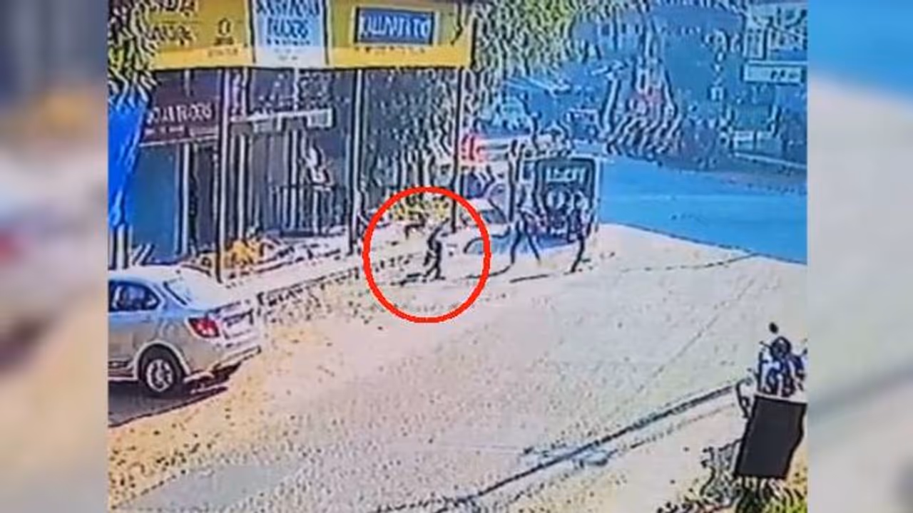 കോഴിക്കോട് സ്കൂൾ വിദ്യാർഥികൾക്ക് നേരെ തെരുവുനായ ആക്രമണം; കുട്ടിക്ക് പരിക്ക് കോഴിക്കോട് സ്കൂൾ വിദ്യാർഥികൾക്ക് നേരെ തെരുവുനായ ആക്രമണം; കുട്ടിക്ക് പരിക്ക്