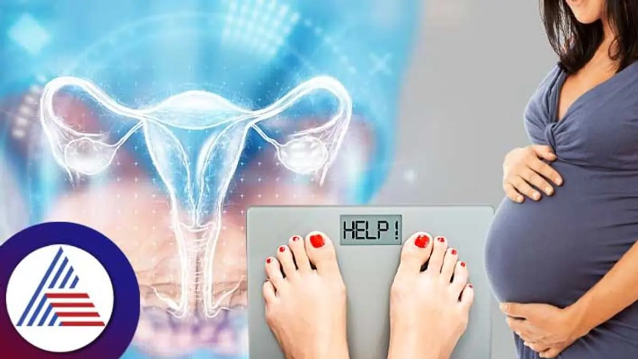 Womens Health: ತೂಕ ಹೆಚ್ಚಿದ್ದರೆ ಮಕ್ಕಳಾಗಲ್ಲ ಅನ್ನೋದು ನಿಜಾನ? Womens Health: ತೂಕ ಹೆಚ್ಚಿದ್ದರೆ ಮಕ್ಕಳಾಗಲ್ಲ ಅನ್ನೋದು ನಿಜಾನ?