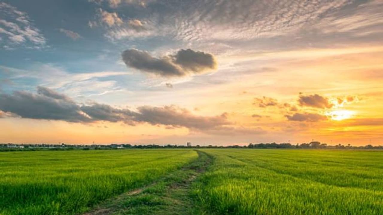 തായ്‌ലൻഡിൽ ശുദ്ധവായു വില്പനയ്ക്ക്; മണിക്കൂറിന് 2500 രൂപ