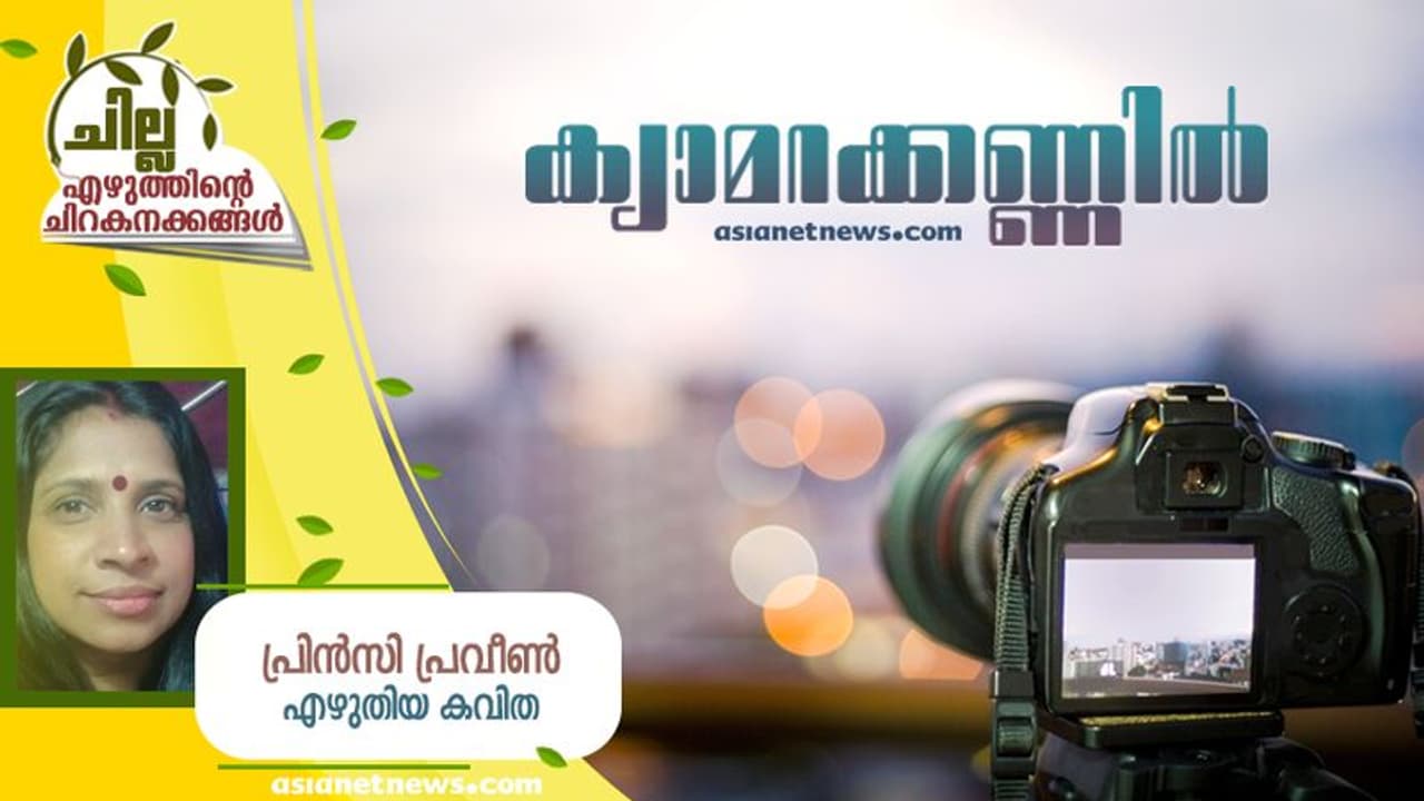 Malayalam Poem : ക്യാമറക്കണ്ണില്, പ്രിന്സി പ്രവീണ് എഴുതിയ കവിത Malayalam Poem : ക്യാമറക്കണ്ണില്, പ്രിന്സി പ്രവീണ് എഴുതിയ കവിത