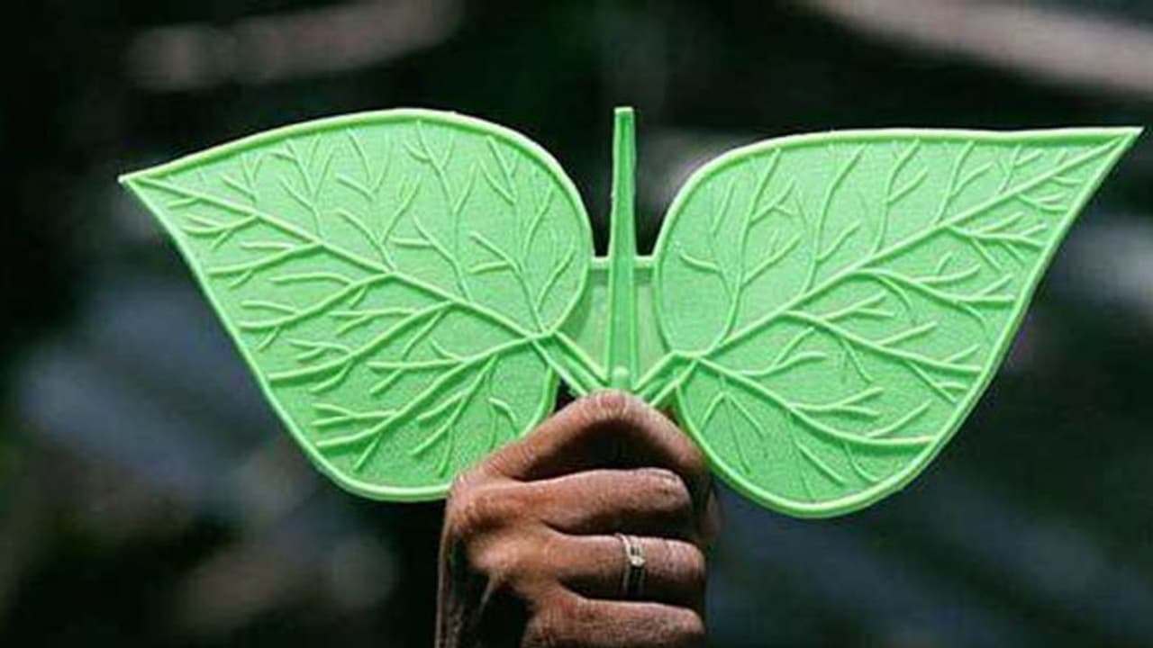 ஓபிஎஸ் எடுத்த அதிரடி முடிவு.. முடக்கப்படுகிறது இரட்டை இலை சின்னம்? அதிர்ச்சியில் இபிஎஸ்? 