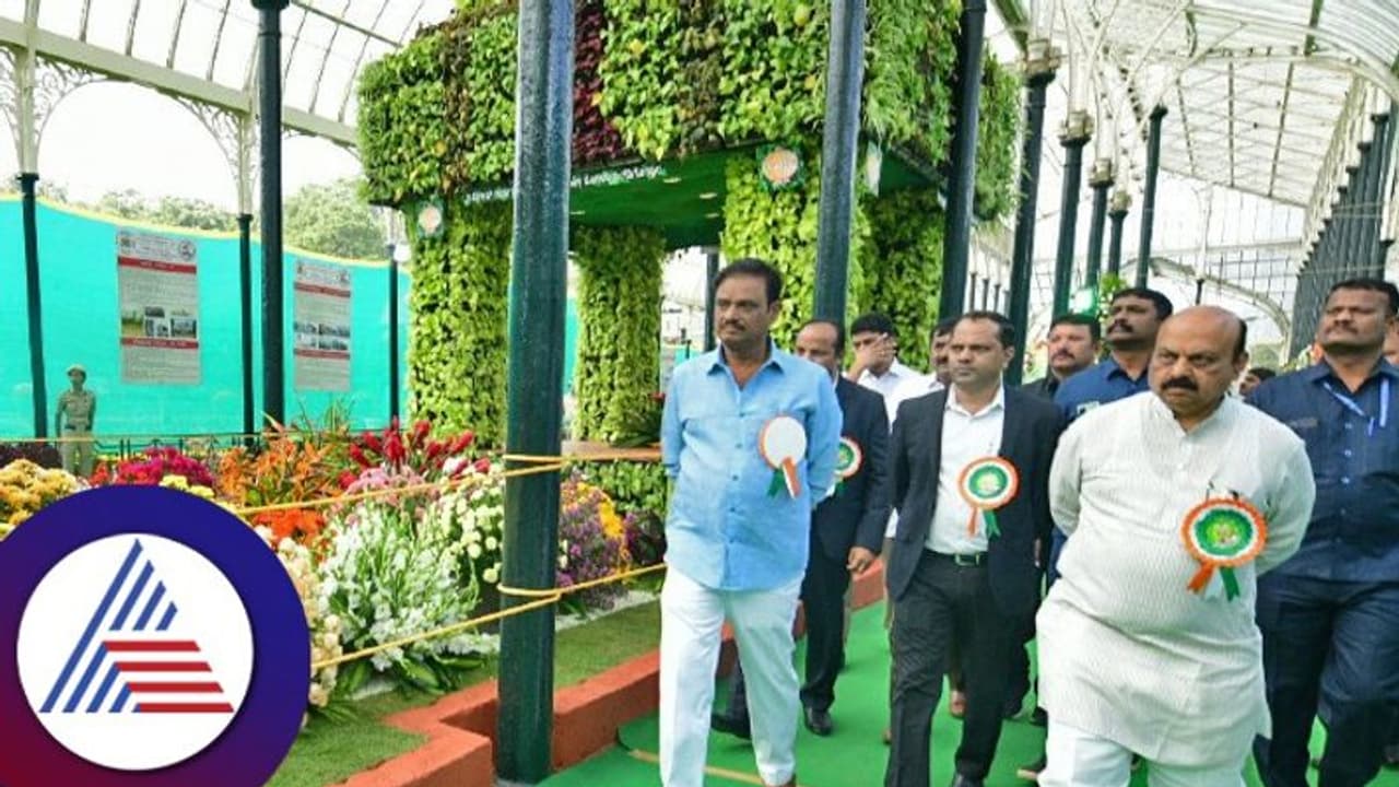 ರಾಜ್ಯದಲ್ಲಿ ಹಸಿರೀಕರಣಕ್ಕೆ ಬಜೆಟ್‌ನಲ್ಲಿ 100 ಕೋಟಿ: ಸಿಎಂ ಬೊಮ್ಮಾಯಿ