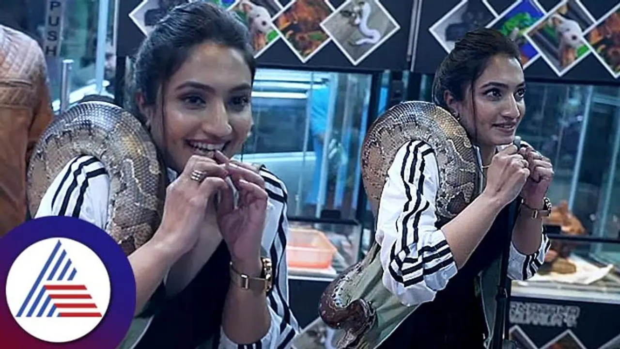 7 ಲಕ್ಷ ಬೆಲೆಯ ಹಾವು ವೈಷ್ಣವಿ ಮೈ ಮೇಲೆ; ವಿಚಿತ್ರ ಪ್ರಾಣಿಗಳನ್ನು ನೋಡಿ, ವಿಡಿಯೋ ವೈರಲ್ 