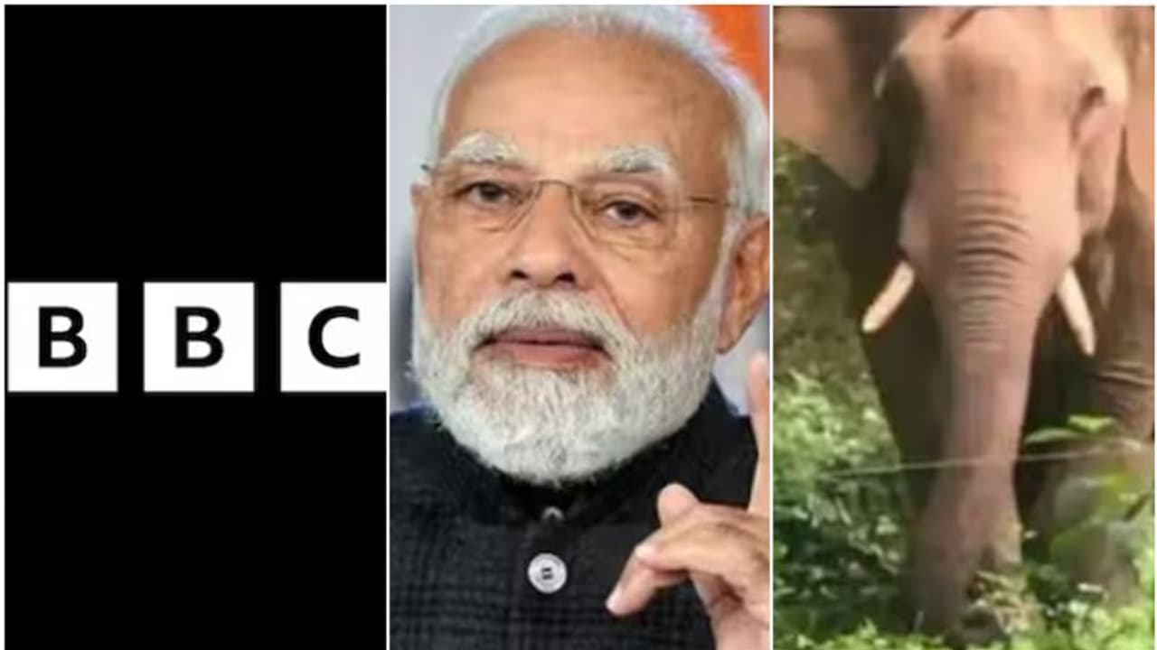 ബിബിസി ഡോക്യുമെന്ററി വിവാദം കത്തുന്നു, പൊലീസിലെ ഗുണ്ടാബന്ധം, പിടികൊടുക്കാതെ പിടി സെവൻ; 10 വാർത്ത ബിബിസി ഡോക്യുമെന്ററി വിവാദം കത്തുന്നു, പൊലീസിലെ ഗുണ്ടാബന്ധം, പിടികൊടുക്കാതെ പിടി സെവൻ; 10 വാർത്ത