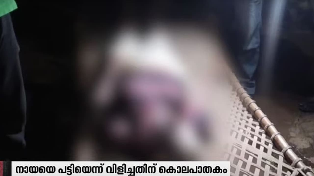 കടിക്കാൻ പാഞ്ഞെത്തിയ വളർത്തുനായകളെ പട്ടിയെന്ന് വിളിച്ചതിന് ഉടമയുമായി തർക്കം; വൃദ്ധനെ കുത്തിക്കൊന്നു