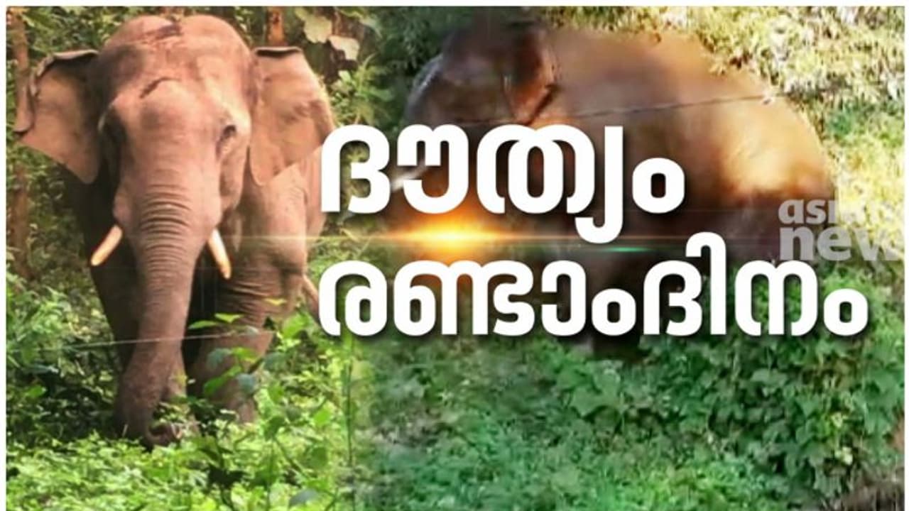 പിടി സെവനെ പിടികൂടുമോ ? ഇന്നത്തെ ദൗത്യം ആരംഭിച്ച് വനംവകുപ്പ്, ആന ധോണിയിലെന്ന് സൂചന പിടി സെവനെ പിടികൂടുമോ ? ഇന്നത്തെ ദൗത്യം ആരംഭിച്ച് വനംവകുപ്പ്, ആന ധോണിയിലെന്ന് സൂചന