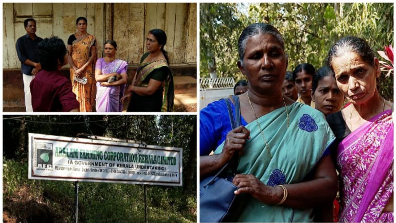 ആറു മാസമായി ശമ്പളമില്ല, ജീവിക്കാൻ മറ്റ് വഴിയില്ല; കണ്ണൂർ ആറളം ഫാമിൽ തൊഴിലാളികളും ജീവനക്കാരും ദുരിതത്തിൽ