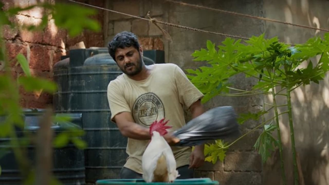 'പൂവന്‍' Vs നായകന്‍; ആന്‍റണി വര്‍ഗീസ് ചിത്രത്തിലെ വീഡിയോ സോംഗ്