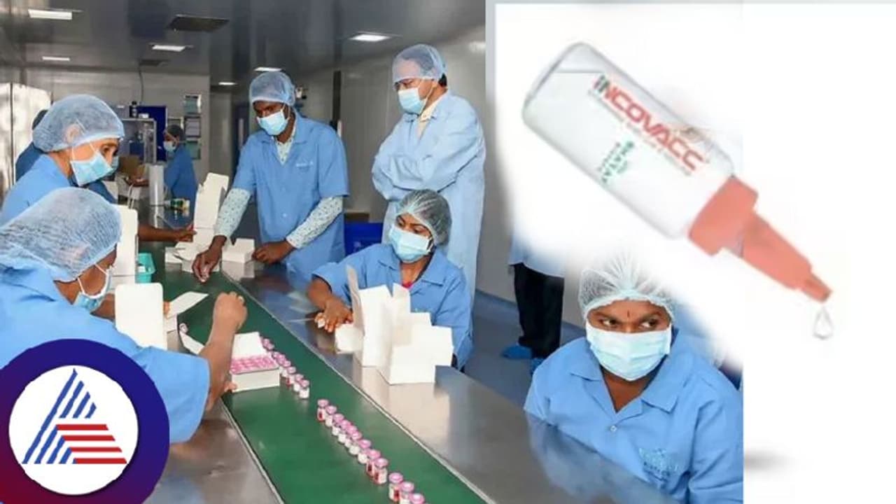 ಮೊದಲ ಭಾರತೀಯ ಇಂಟ್ರಾನಾಸಲ್ ಕೋವಿಡ್ ಲಸಿಕೆ, ಜ.26ಕ್ಕೆ ಬಿಡುಗಡೆ ಮೊದಲ ಭಾರತೀಯ ಇಂಟ್ರಾನಾಸಲ್ ಕೋವಿಡ್ ಲಸಿಕೆ, ಜ.26ಕ್ಕೆ ಬಿಡುಗಡೆ