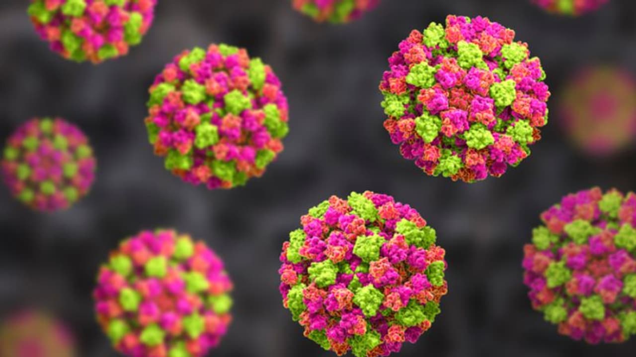 എന്താണ് നോറോ വൈറസ്; അറിയാതെ പോകരുത് ഈ ലക്ഷണങ്ങള്‍...