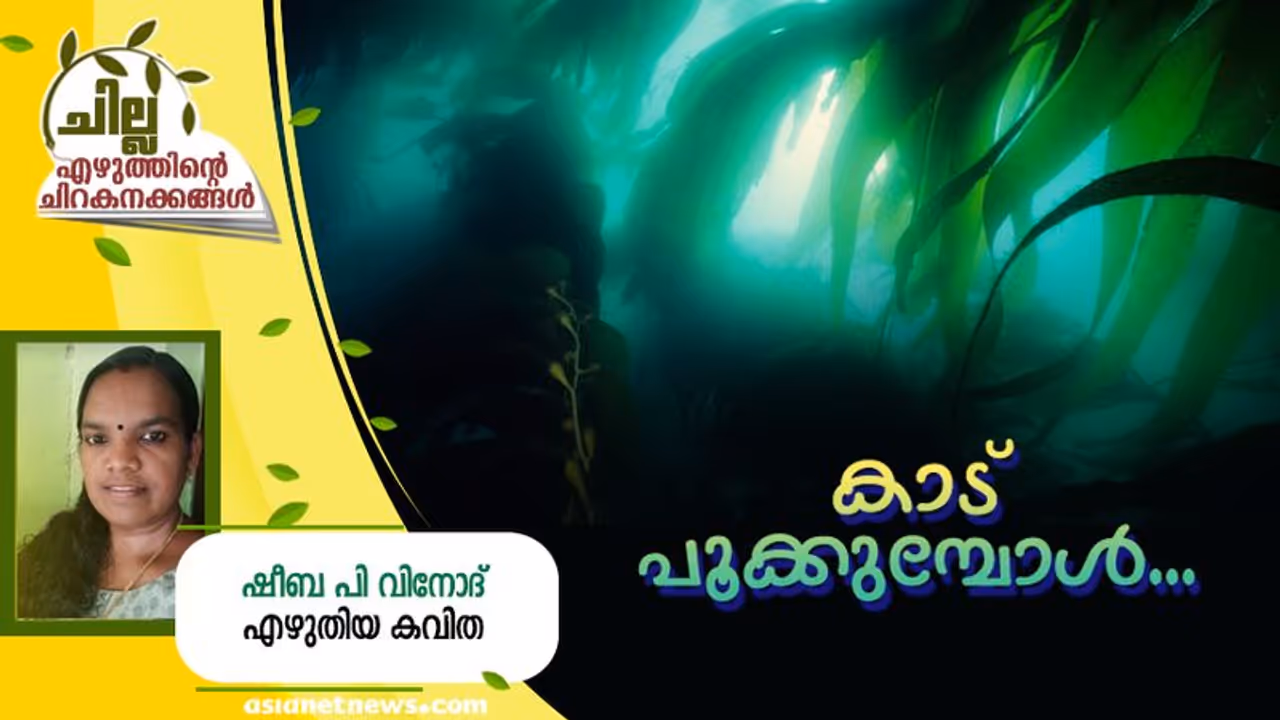  Malayalam Poem: കാട് പൂക്കുമ്പോള്‍, ഷീബ പി വിനോദ് എഴുതിയ കവിത