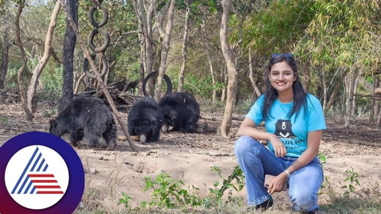 Ranjani Raghavan: ಕರಡಿ ಜೊತೆ ಕನ್ನಡತಿ! ರಂಜನಿ ರಾಘವನ್ ಎಲ್ಲಿದ್ದಾರೆ ನೋಡಿ.. Ranjani Raghavan: ಕರಡಿ ಜೊತೆ ಕನ್ನಡತಿ! ರಂಜನಿ ರಾಘವನ್ ಎಲ್ಲಿದ್ದಾರೆ ನೋಡಿ..