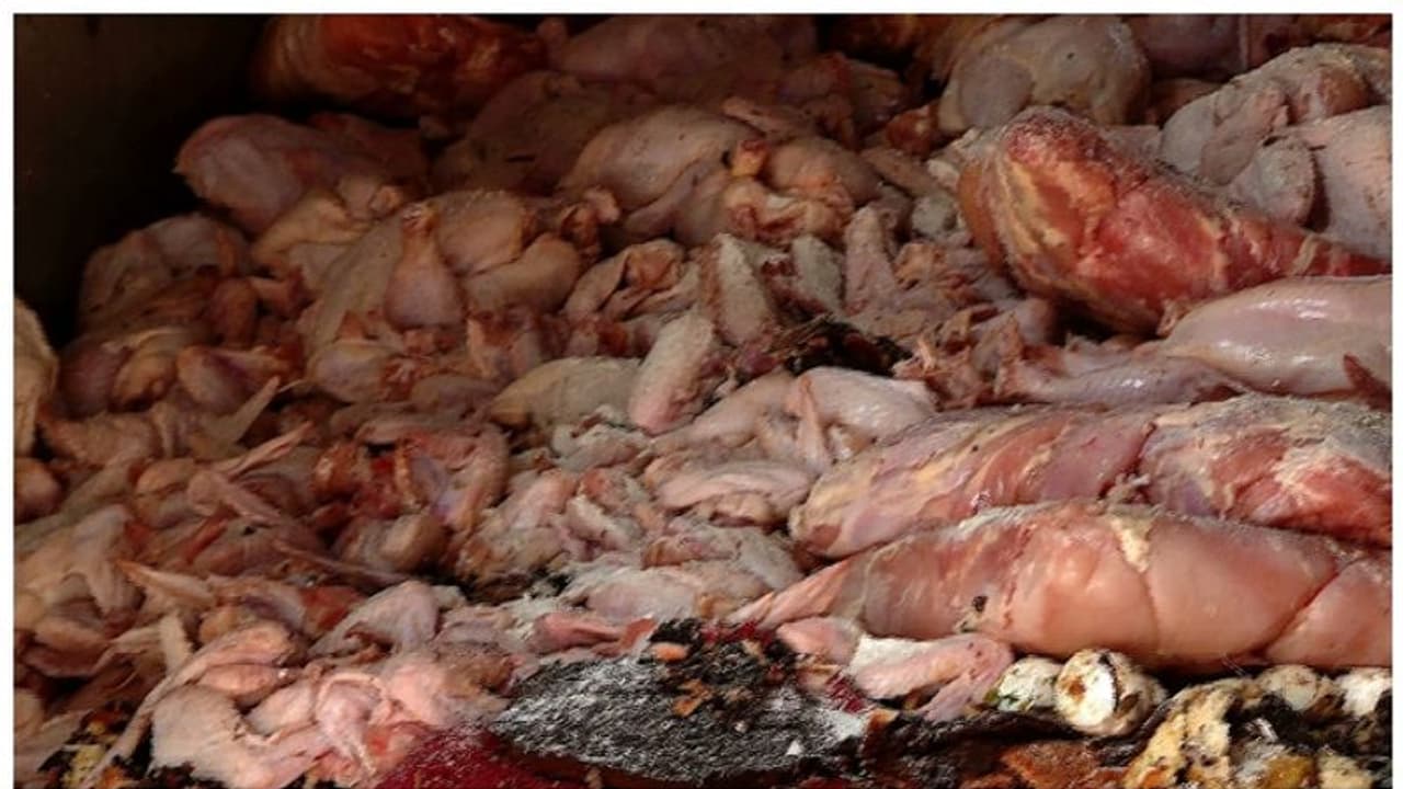 കൊച്ചിയിൽ 500 കിലോ സുനാമി ഇറച്ചി പിടികൂടിയ സംഭവം; പ്രതി ജുനൈസ് പിടിയിൽ