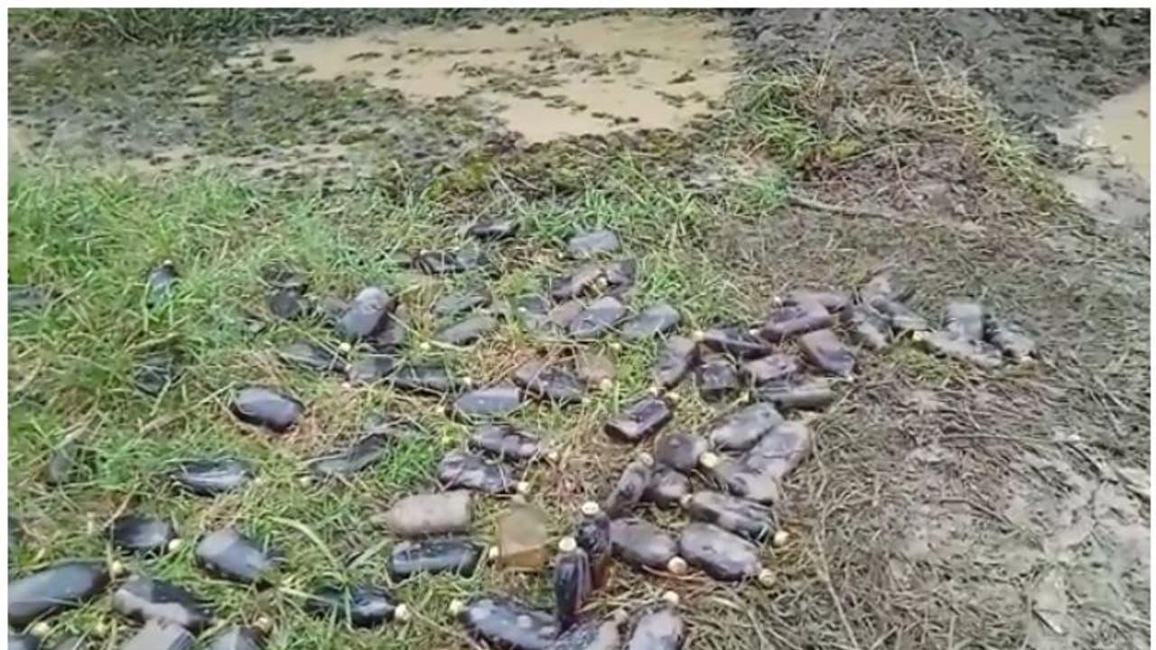 മീൻ പിടിക്കുന്നതിനിടെ യുവാക്കൾക്ക് കിട്ടിയത് ചെളിക്കെട്ടിൽ സൂക്ഷിച്ചിരുന്ന വ്യാജമദ്യം; കേസെടുത്ത് എക്സൈസ് മീൻ പിടിക്കുന്നതിനിടെ യുവാക്കൾക്ക് കിട്ടിയത് ചെളിക്കെട്ടിൽ സൂക്ഷിച്ചിരുന്ന വ്യാജമദ്യം; കേസെടുത്ത് എക്സൈസ്