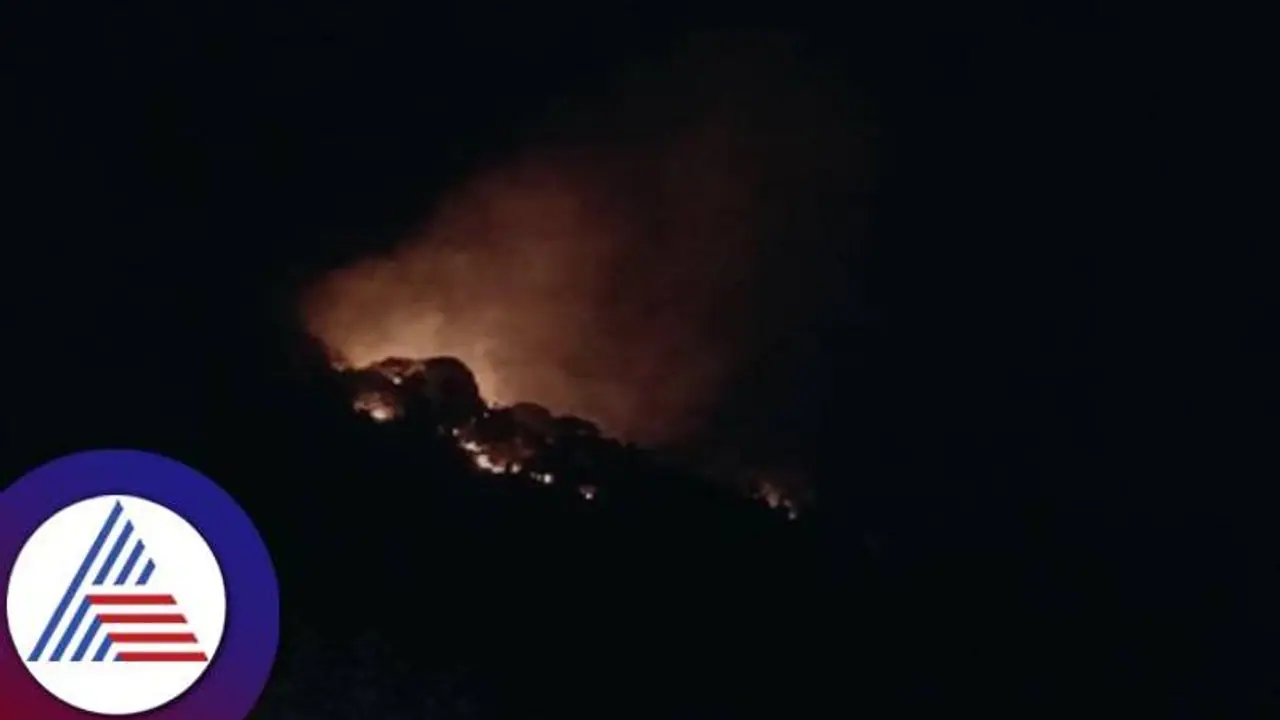 ತುಮಕೂರು: ತಿಮ್ಲಾಪುರ ಸಂರಕ್ಷಿತ ಅರಣ್ಯ ಪ್ರದೇಶಕ್ಕೆ ಬೆಂಕಿ ಇಟ್ಟ ದುಷ್ಕರ್ಮಿಗಳು