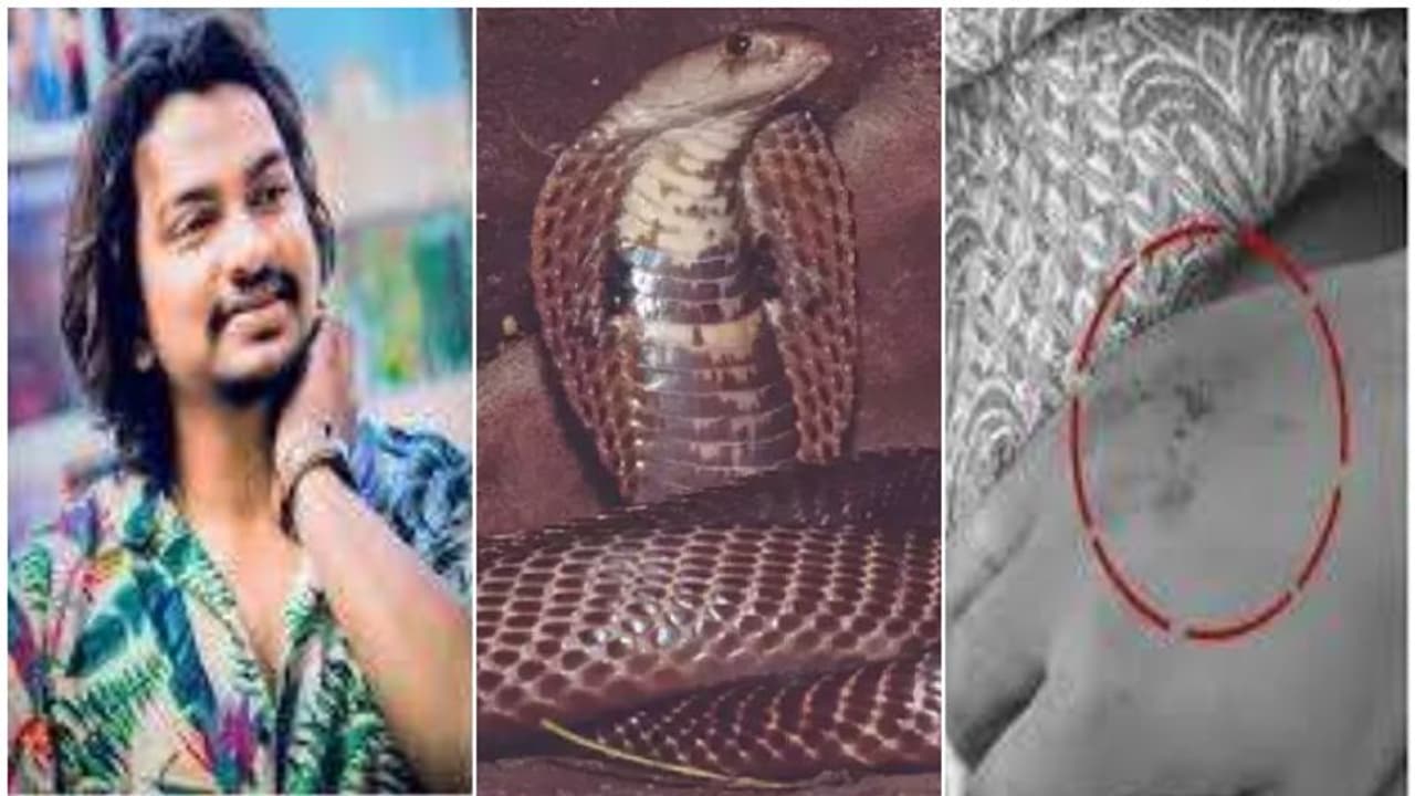 പാമ്പാട്ടിയെ വിശ്വസിച്ചു, കൗതുകത്തിന് പാമ്പിനെ കഴുത്തിലിട്ട് സെല്ഫി; കടിയേറ്റ യുവാവിന് ദാരുണാന്ത്യം പാമ്പാട്ടിയെ വിശ്വസിച്ചു, കൗതുകത്തിന് പാമ്പിനെ കഴുത്തിലിട്ട് സെല്ഫി; കടിയേറ്റ യുവാവിന് ദാരുണാന്ത്യം