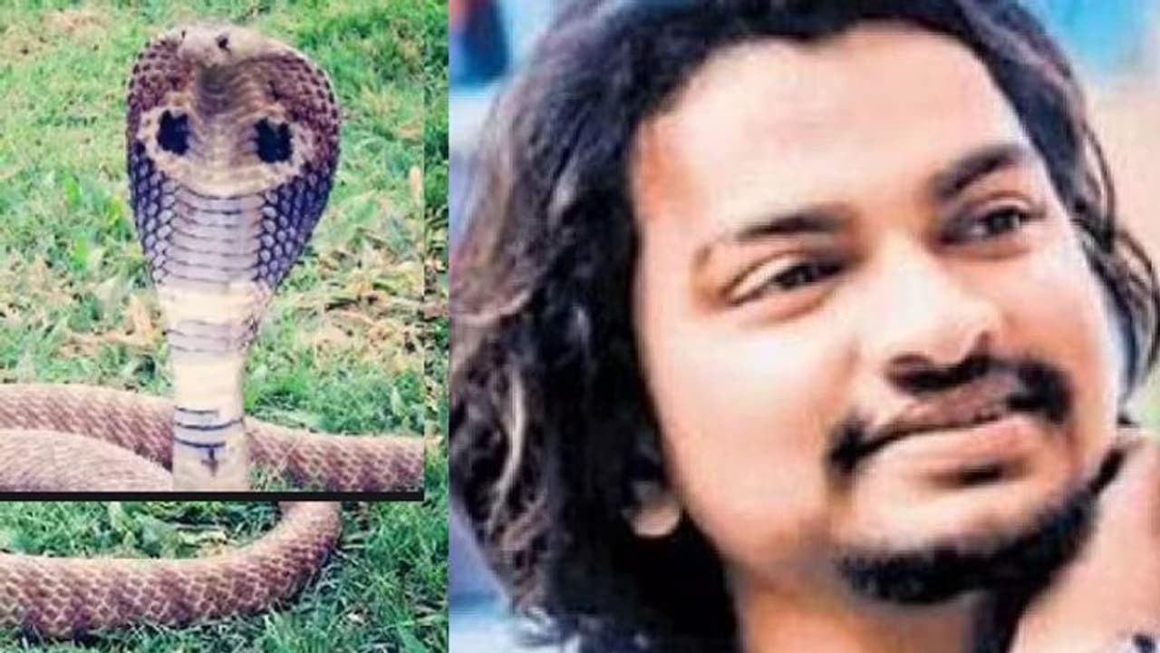 ಯುವಕನ ಜೀವಕ್ಕೆ ಎರವಾಯ್ತು ಹಾವಿನೊಂದಿಗಿನ ಸೆಲ್ಫಿ