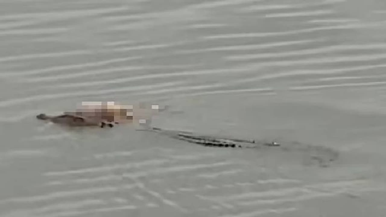 കളിക്കുന്നതിനിടയിൽ കാണാതായി, നാലു വയസ്സുകാരന്റെ ജഡം തിരികെ എത്തിച്ച് മുതല കളിക്കുന്നതിനിടയിൽ കാണാതായി, നാലു വയസ്സുകാരന്റെ ജഡം തിരികെ എത്തിച്ച് മുതല