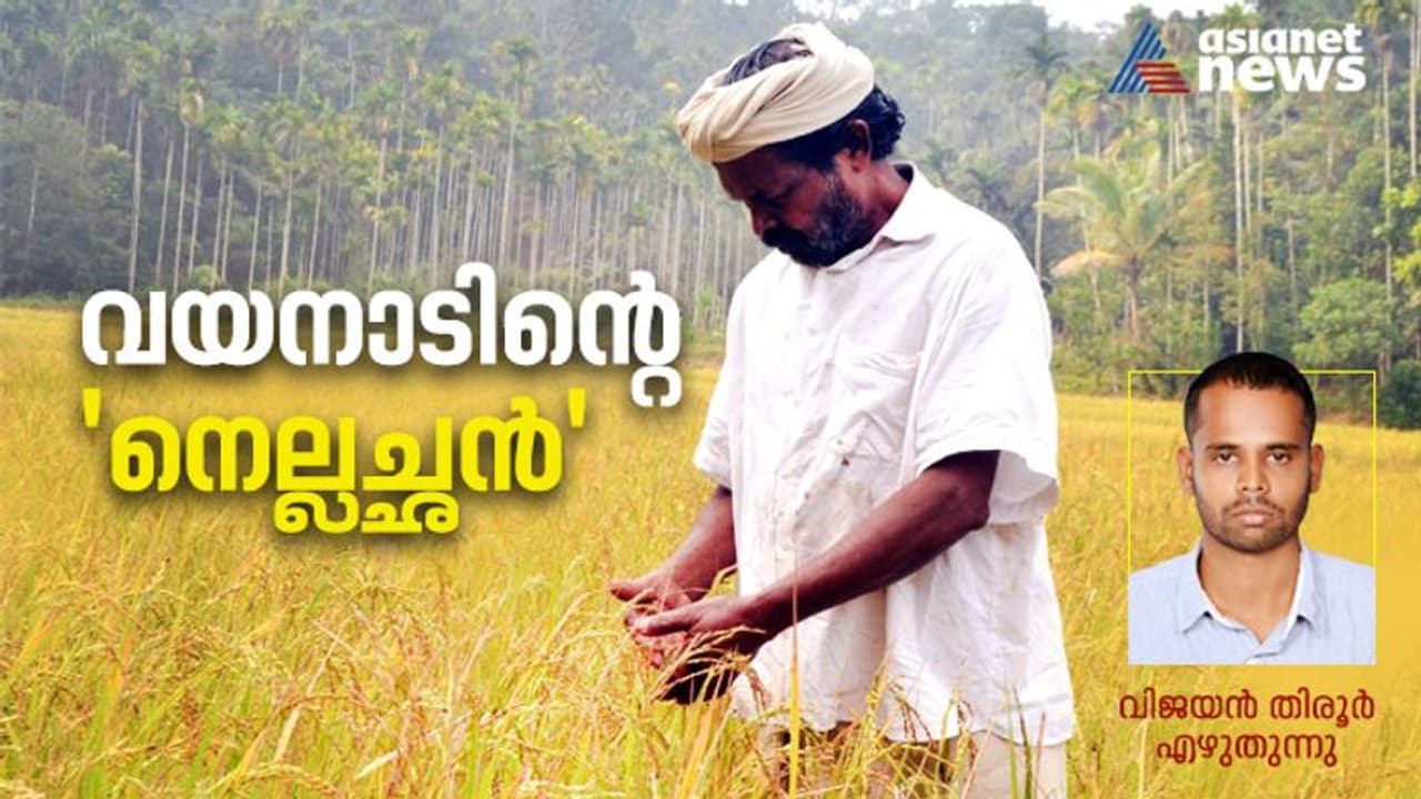 പത്മശ്രീ ചെറുവയല് രാമന്; കാലത്തെ തോല്പ്പിച്ച വയനാടിന്റെ 'നെല്ലച്ഛന്' പത്മശ്രീ ചെറുവയല് രാമന്; കാലത്തെ തോല്പ്പിച്ച വയനാടിന്റെ 'നെല്ലച്ഛന്'