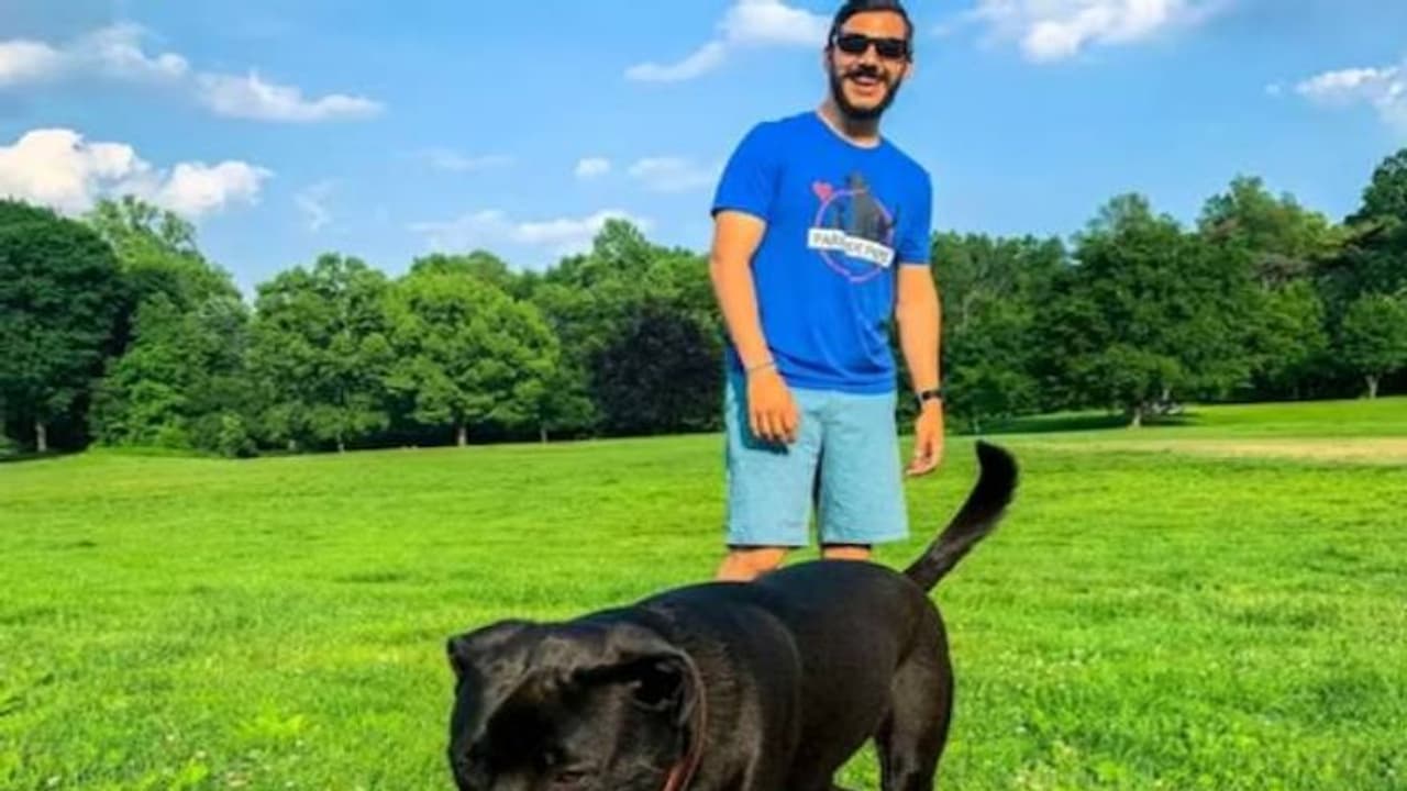 ജോലി നായയെ നടക്കാൻ കൊണ്ടുപോകൽ, ഒരു വർഷം കിട്ടുന്നത് ഒരു കോടി രൂപ! വ്യത്യസ്ത ജോലിയുമായി യുവാവ് ജോലി നായയെ നടക്കാൻ കൊണ്ടുപോകൽ, ഒരു വർഷം കിട്ടുന്നത് ഒരു കോടി രൂപ! വ്യത്യസ്ത ജോലിയുമായി യുവാവ്