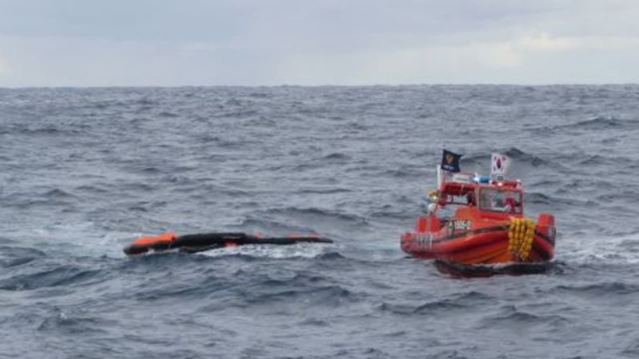 ജപ്പാൻ തീരത്ത് ചരക്ക് കപ്പൽ മുങ്ങി 8 മരണം