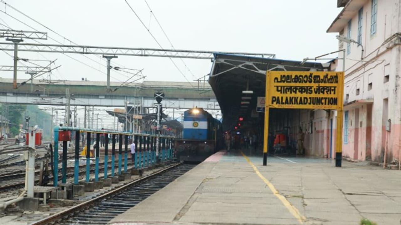 പാലക്കാട് റെയിൽവേ സ്റ്റേഷനിൽ വൻ ലഹരിവേട്ട: കഞ്ചാവും ചരസും പിടികൂടി 