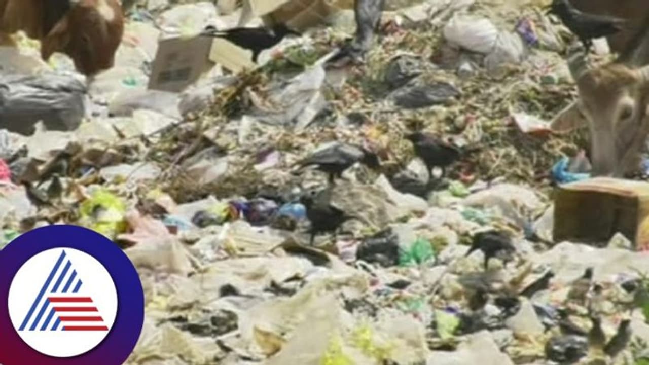 Kodagu: ಊರ ಹೆಬ್ಬಾಗಿಲಲ್ಲೇ ಗಬ್ಬೆದ್ದು ನಾರುವ ಕಸ, 15 ದಿನಗಳಲ್ಲಿ ಘಟಕ ಬಳಕೆ ಮಾಡುವುದಾಗಿ ಸಿಇಒ ಭರವಸೆ