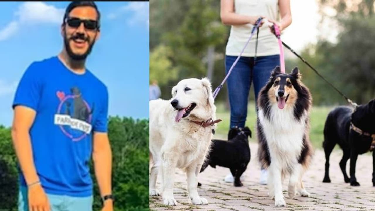 ನಾಯಿ ನೋಡಿಕೊಳ್ಳುವ ಈತನ ಸಂಪಾದನೆ ಕೇಳಿದ್ರೆ ಬೆಚ್ಚಿ ಬೀಳ್ತೀರಾ?