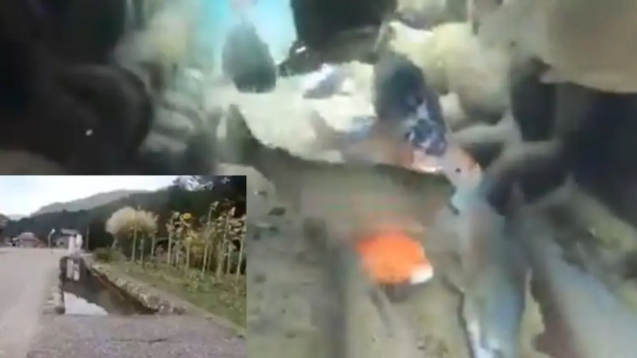 ಇದು ಅಕ್ವೇರಿಯಂ ಅಲ್ಲ ಜಪಾನ್‌ನ ಚರಂಡಿ... ಹಳೆ ವಿಡಿಯೋ ಮತ್ತೆ ವೈರಲ್ 