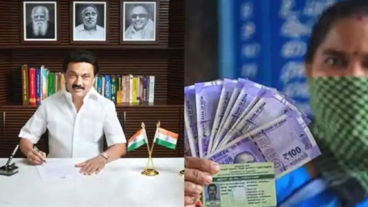 இல்லத்தரசிகளுக்கு குட் நியூஸ்! கலைஞர் மகளிர் உரிமை தொகை வாங்க தகுதி பெற்றவர்கள் எத்தனை பேர் தெரியுமா? இல்லத்தரசிகளுக்கு குட் நியூஸ்! கலைஞர் மகளிர் உரிமை தொகை வாங்க தகுதி பெற்றவர்கள் எத்தனை பேர் தெரியுமா?