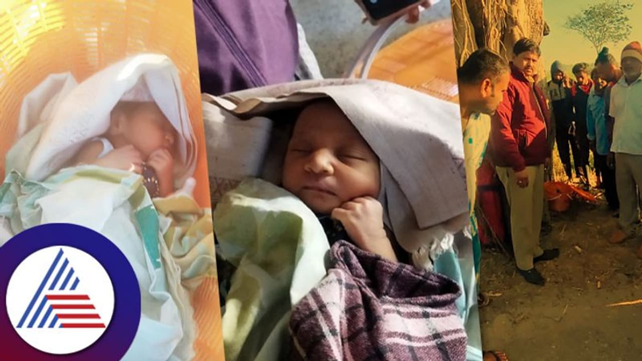 ತರಕಾರಿಬುಟ್ಟಿಯಲ್ಲಿ ನವಜಾತ ಶಿಶು ಪತ್ತೆ: ಮಂಡ್ಯದಲ್ಲಿ ಮನಕಲುಕುವ ಘಟನೆ ತರಕಾರಿಬುಟ್ಟಿಯಲ್ಲಿ ನವಜಾತ ಶಿಶು ಪತ್ತೆ: ಮಂಡ್ಯದಲ್ಲಿ ಮನಕಲುಕುವ ಘಟನೆ