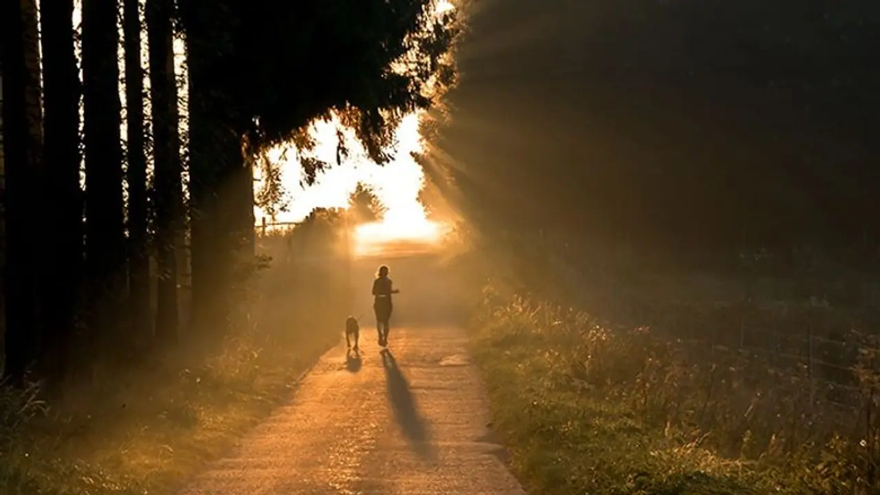 10 reasons YOU should go for morning walks