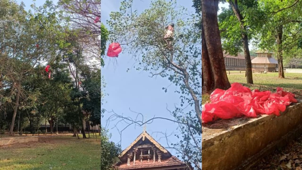 വടക്കുംനാഥ ക്ഷേത്രത്തിനുള്ളിലെ ആൽമരത്തിൽ ചെങ്കൊടി, സത്യാവസ്ഥ എന്ത് ?