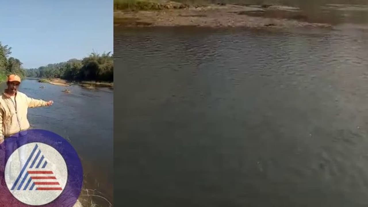 ಹೇಮಾವತಿ ನದಿಯ ಒಡಲು ವಿಷ: ಚಿಕ್ಕಮಗಳೂರು ಹಾಸನದ ಜೀವದಾತೆಗೆ ಕುತ್ತು 