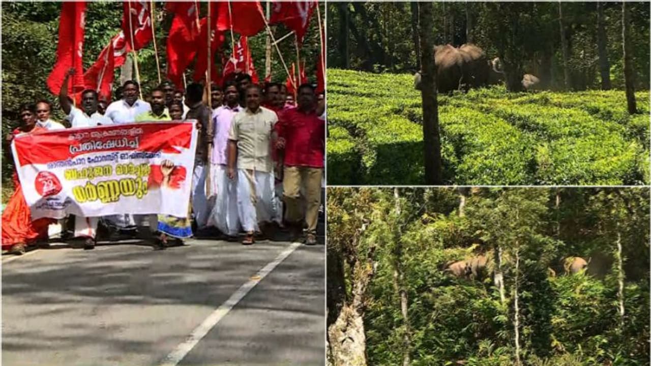 'ഡിഎഫ്ഒ യുടെ അപ്പനാണോ പടയപ്പ? അളിയനാണോ അരിക്കൊമ്പൻ?'; വനം വകുപ്പിനെതിരെ സിപിഎം ഇടുക്കി ജില്ലാ സെക്രട്ടറി 'ഡിഎഫ്ഒ യുടെ അപ്പനാണോ പടയപ്പ? അളിയനാണോ അരിക്കൊമ്പൻ?'; വനം വകുപ്പിനെതിരെ സിപിഎം ഇടുക്കി ജില്ലാ സെക്രട്ടറി