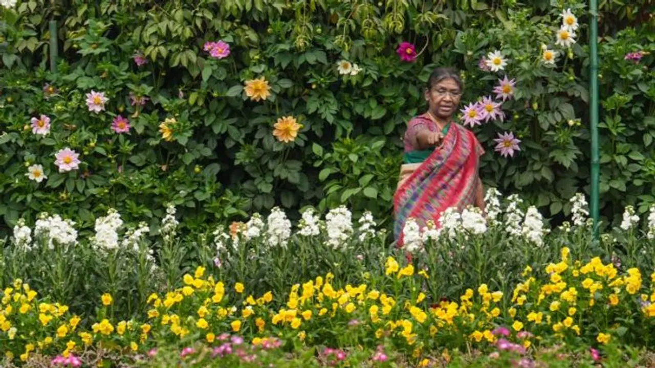 Odisha pharmacist suspended for clicking pictures with President Murmu’s chopper Odisha pharmacist suspended for clicking pictures with President Murmu’s chopper