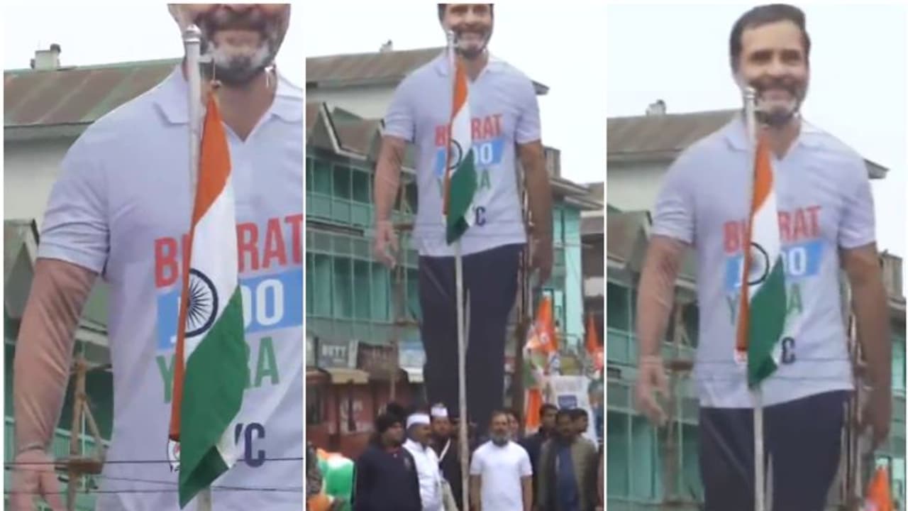 ദേശീയ പതാകയേക്കാള്‍ തലപ്പൊക്കത്തില്‍ രാഹുലിന്‍റെ കട്ടൗട്ട്; സോഷ്യല്‍ മീഡിയയില്‍ വിമര്‍ശനം