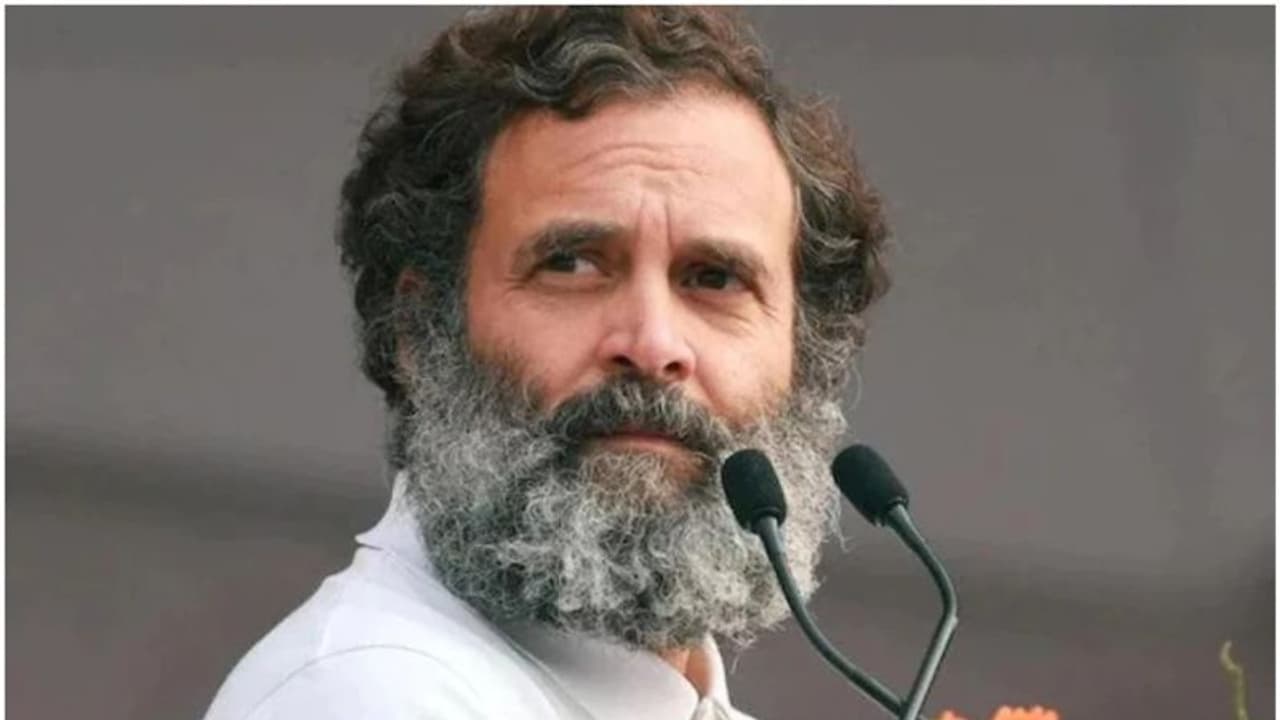 எம்.பி பதவி காலி.. 8 ஆண்டுகள் வரை ராகுல் காந்தி தேர்தலில் போட்டியிட முடியாதா? என்ன சொல்கிறது சட்டம்?