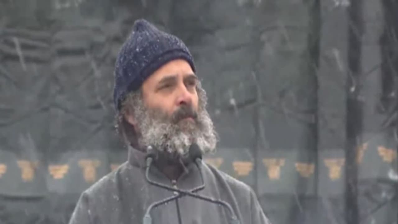 ఏ బీజేపీ నాయకుడూ జమ్మూ కాశ్మీర్‌లో ఇలా నడవలేరు.. హింసను ప్రేరేపించేవారు ఆ బాధను అర్థం చేసుకోలేరు: రాహుల్ గాంధీ