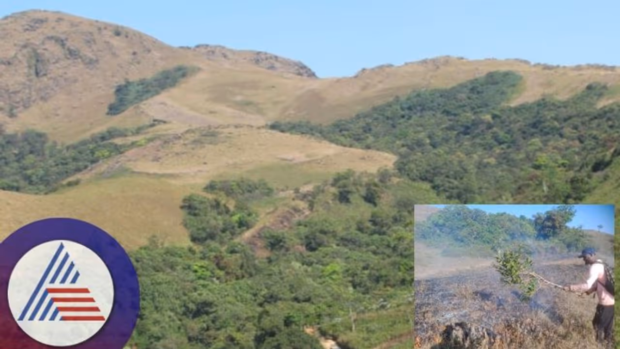 ಅರಣ್ಯ ಇಲಾಖೆಗೆ ಕಾಡ್ಗಿಚ್ಚು ಆತಂಕ: ಬೆಂಕಿ ಹರಡುವಿಕೆ ತಡೆಗೆ ಹಳೆಯ ಅಸ್ತ್ರವೇ ಗತಿ