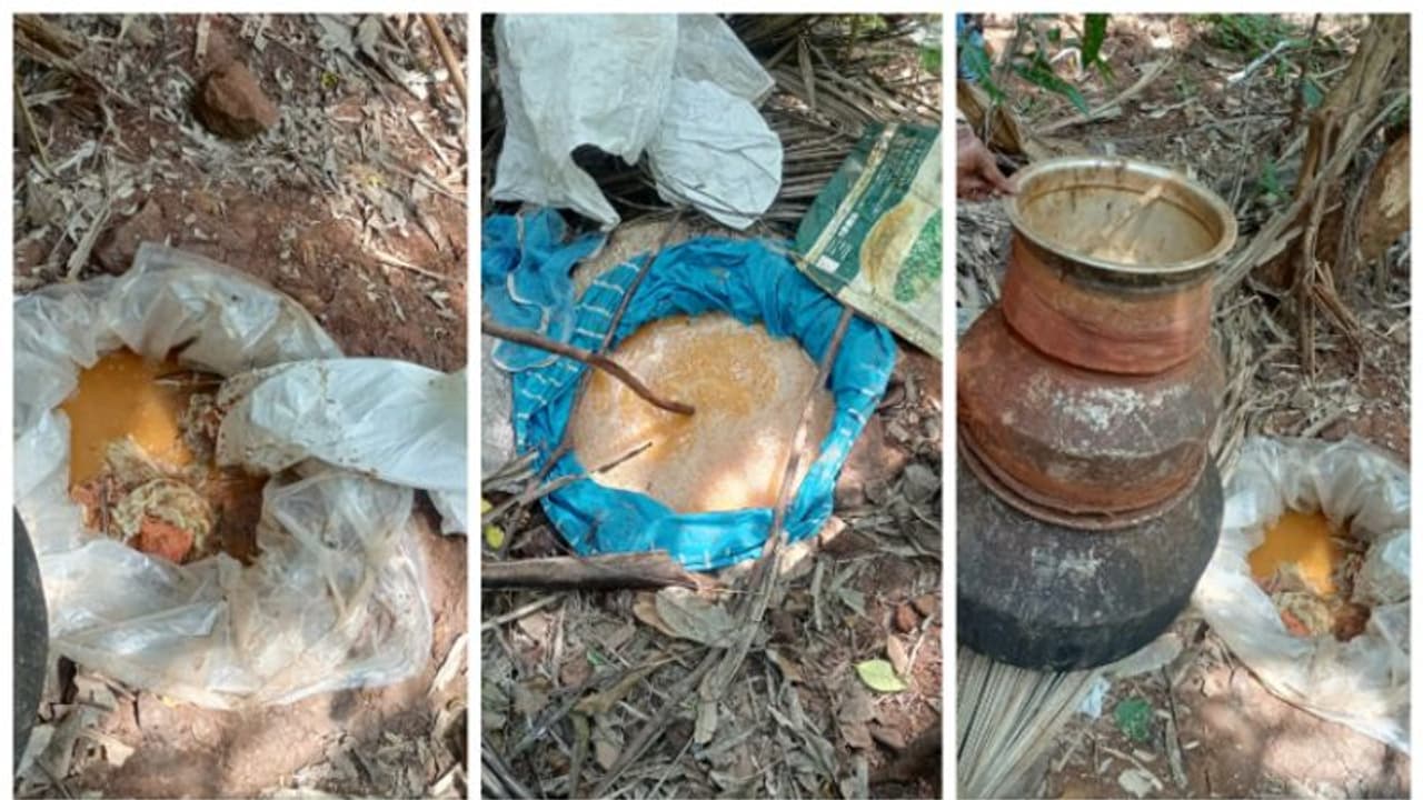 കട്ടിപ്പാറ ഗ്രാമപഞ്ചായത്തിൽ എക്സൈസ് റെയ്ഡ്; 500 ലിറ്റർ വാഷും വാറ്റുപകരണങ്ങളും പിടിച്ചെടുത്തു കട്ടിപ്പാറ ഗ്രാമപഞ്ചായത്തിൽ എക്സൈസ് റെയ്ഡ്; 500 ലിറ്റർ വാഷും വാറ്റുപകരണങ്ങളും പിടിച്ചെടുത്തു