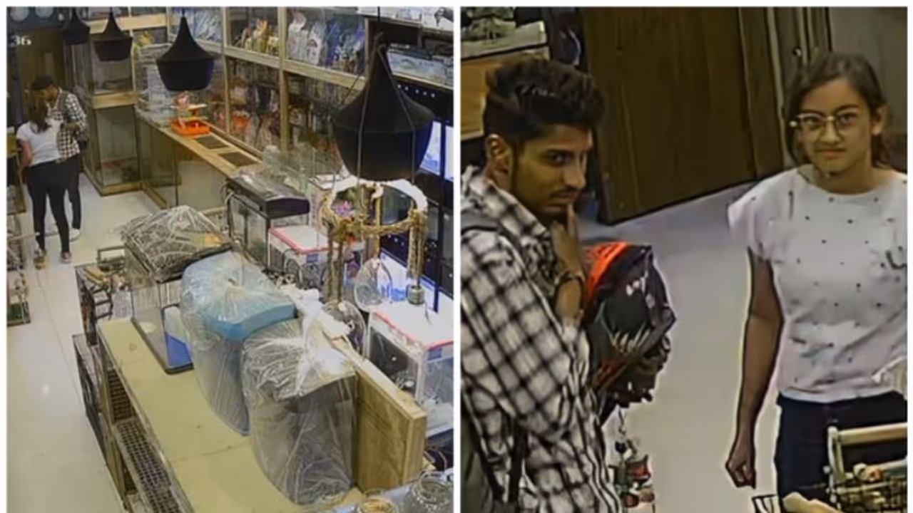 കടയിലെത്തി, നായ്ക്കുട്ടിയെ ഹൈൽമറ്റിനുള്ളിലാക്കി കടത്തി; മോഷണം സിസിടിവിയിൽ പതിഞ്ഞു, മോഷ്ടാക്കളെ തിരഞ്ഞ് പൊലീസ്