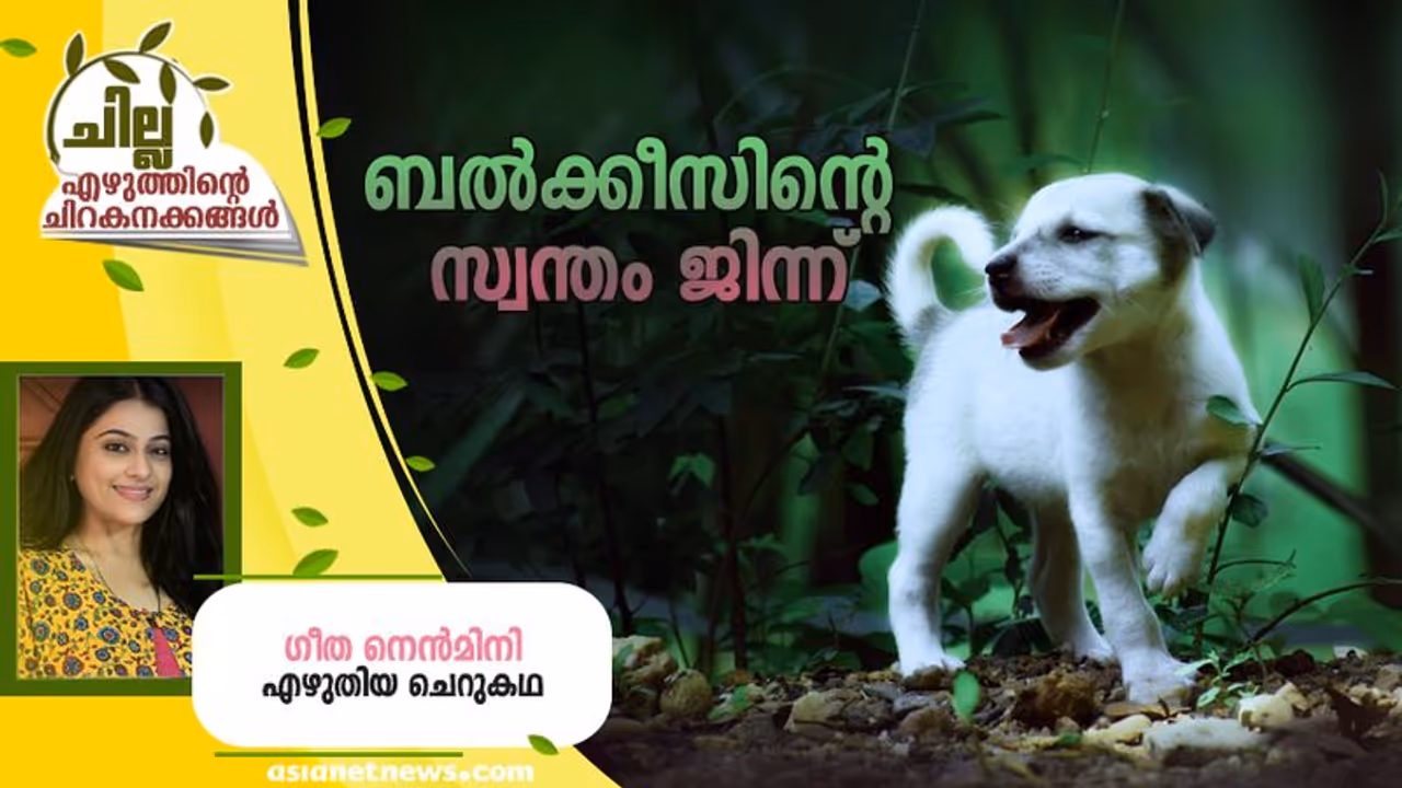  Malayalam Short Story : ബല്‍ക്കീസിന്‍റെ സ്വന്തം ജിന്ന്, ഗീത നെന്‍മിനി എഴുതിയ ചെറുകഥ